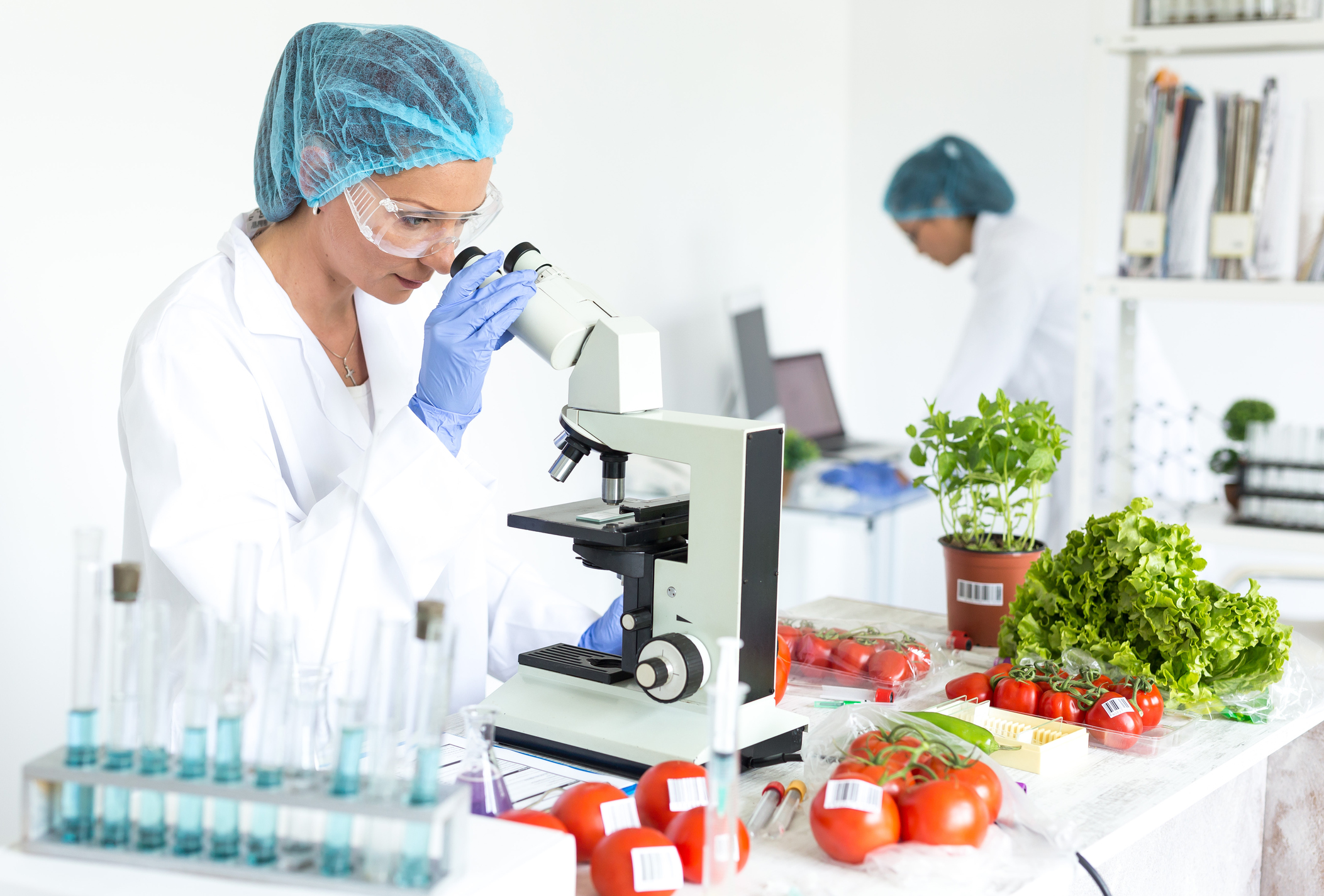 Гигиеническая оценка продуктов. Лаборатория пищевых продуктов. Экспертиза пищевых продуктов. Исследования пищи. Контроль качества пищевой продукции.
