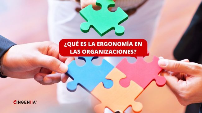 Portada de Ergonomía en las organizaciones